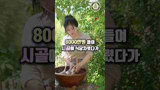 8천만원 들여 시골에 식당 차렸다가 상인회 회장님이 과도한 말씀을 하십니다