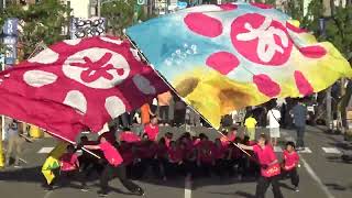 あしたも ハレヤ！札幌組 YOSAKOIソーランinくりやま秋まつり 3回目 2023.9.24