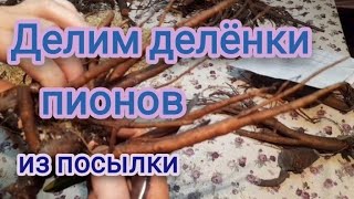 Деление Делёнок от Ворошиловых. Ч.1 🫣😁