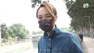 東張西望 | 大埔 林村河 生魚萬條泛濫 | 亂捕亂食亂賣成亂像 | 污染