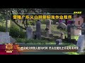 【疫情下再迎清明节 华人义山总会促公布防疫标准】