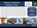 Conservation Conversations: Dr Doug Harebottle – Birding in Mokala National Park