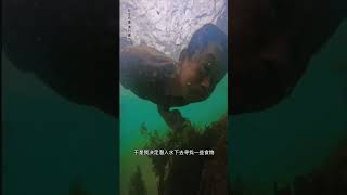 荒岛求生 荒野求生 ，带你海底抓龙虾#吃播 #吃货