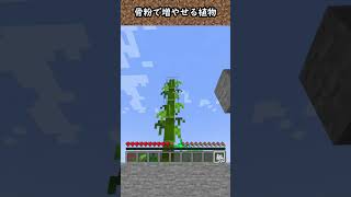 【豆知識】骨粉で増やせる植物【マイクラ】#Shorts