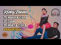 rizky febian trilogi garis cinta latest full album 2020