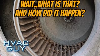 Odd Find During Normal Repair! #hvacguy #hvaclife  #hvactechnician