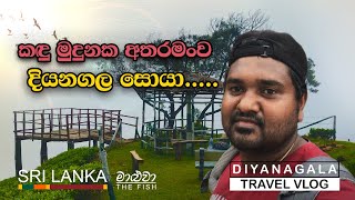 DIYANAGALA view point. දියනගල view point.badulla #hiking #traveling #camping #srilanka