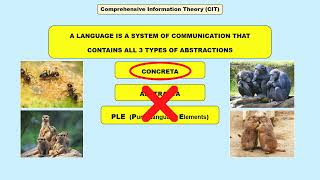 Why language is unique to humans