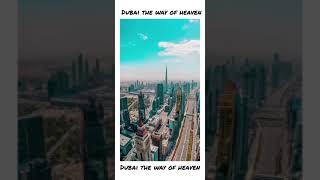 Dubai 360° || 360 view of Dubai | Dubai street view 360 | #dubai360 #dubai #dubaiheaven #shorts #360