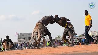 Mangar Malony Vs Bakic Aliecmac