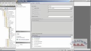 introduction to sql server 2008 - create login, user , map them (securables)