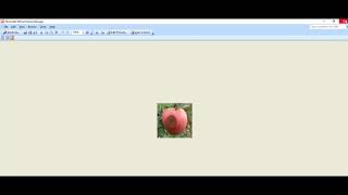 Disease Detection in Fruits using Image Processing