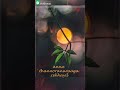 Download New malayalam lyrical status /malayalam love status lyrical /malayalam lyrics status video In Mp4 3Gp Full HD Video