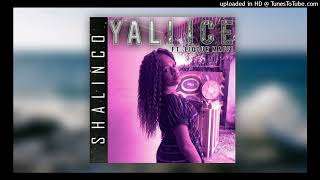 Yali Ice - Shalinco Ft. Liquor Maffi (2022)