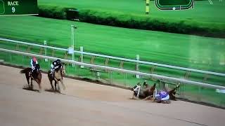 New York Thunder breaks leg at Saratoga, is euthanized.