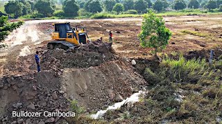 PERFORMANCES, NEW PROJECT PROCESSING DOZER OPEN FOREST ROAD EXCELLENT DOZER PUSHING SOIL NEW DAM