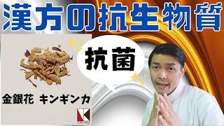 【漢方】金銀花（キンギンカ）１分で分かる　生薬解説