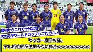 サッカー女子W杯、テレビ中継が決まらない場合ｗｗｗｗｗｗｗｗｗｗｗ