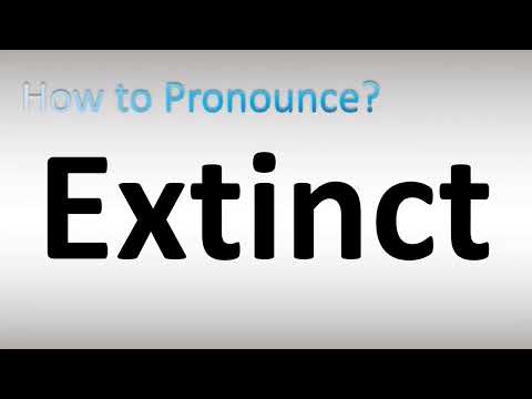 How do you spell Exstink?