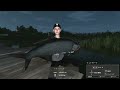 無課金fishing planet lv49 フロリダ・エバーグレーズ　テラーターポン釣り（まったり釣りゲーム）