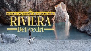 ITINERARIO DOG-FRIENDLY alla scoperta della RIVIERA DEI CEDRI