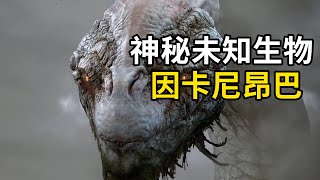 神秘巨型蛇形生物：因卡尼昂巴！