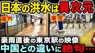 「日本の洪水は異常…」豪雨直後の東京駅構内と海外を比較した映像がヤバすぎる