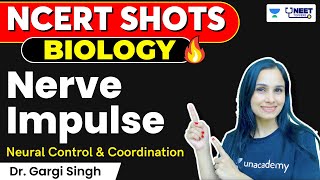 NCERT Shots Biology | Nerve Impulse - Neural Control & Coordination | NEET 2024 | Gargi Singh