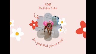 ASMR Shiba MUKBANG Birthday Cake 柴犬生日蛋糕吃播