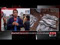 ইলিশের দাম বাড়লো আরেক দফা munshiganj fish market hilsa fish prices increased somoy tv