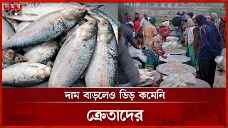 ইলিশের দাম বাড়লো আরেক দফা! | Munshiganj | Fish Market | Hilsa Fish | Prices Increased | Somoy TV