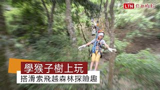 學猴子樹上玩 搭滑索飛越森林探險趣