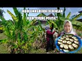 RESEPI WARISAN ||KUIH LIMAS TRADISIONAL PERAK BETUL KE BERBEZA DENGAN TEPUNG PELITA ⁉️sukatan cawan