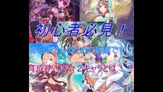 [プリコネR] 初心者必見！ 育成すべき☆2キャラ五体をご紹介！ 育てるキャラ分からない方におすすめ！ その５８ [PC版]