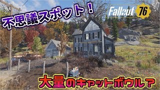 [PS4版Fallout76]フォールアウト76　不思議スポット！大量のキャットボウルがある寂れた家