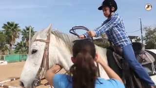 חוות המאלף-רכיבה טיפולית וטיולי סוסים בחוות סוסים במרכז