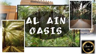 Al Ain Oasis || واحة العين || Abu Dhabi Cultural Landscapes || A Forest of Palm || Episode:27
