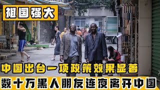 清理“三非”政策出台后，数十万黑人离开中国？这是怎么回事