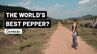 PEPPER TOUR \u0026 TASTING AT LA PLANTATION | Kampot, Cambodia | Vlog 026