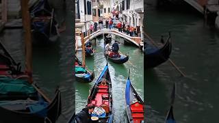 Venice | Romantic Gondola Ride 🇮🇹 🛶 #shorts #travelitalia