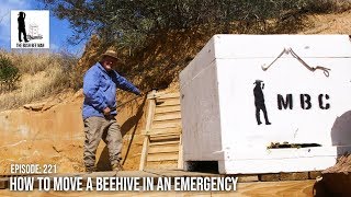 How to move a Beehive in an Emergency - The Bush Bee Man