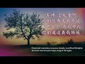 敬拜萬世之王worship the king of all ages lyrics 啟示錄15 3 4 music 葉邵家菁 我心旋律音樂版權 solo by teresa huang cover