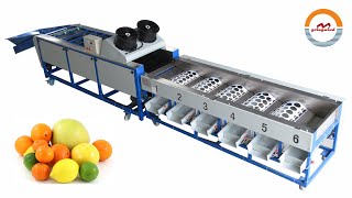 Orange washing drying and grading machine small citrus fruit lemon mandarin cleaning sorting line