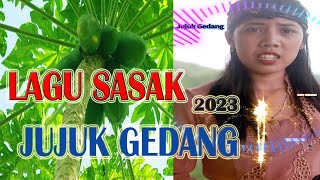 Jujuk Gedang  sasak Lombok #lagusasak #cilokaksasak