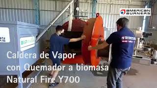 Quemador a Biomasa en Caldera de vapor en Fabrica de leche y manteca