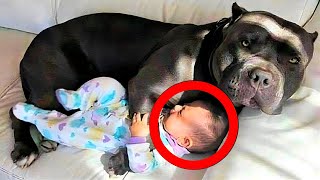 Dog Refuses To Leave Baby's Side, Parents Find Out Why And Call The Police