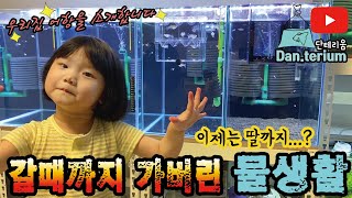 갈때까지 가버린 물생활, 이제는 딸까지..? 최연소 물생활고수!! a harmful effect of youtube, the youngest fish master