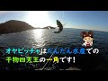 【高知県大月の旅 古満目 磯フカセ釣り】良型アーガイに出会う！皇帝ダリアの咲く頃に 4th season その4【大月project2020】