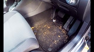 Cleaning a really dirty Volkswagen Golf