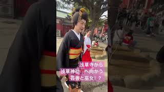 【浅草神社へ向かう芸者姿のあっこ姐さんと巫女姿の小野陽子さん】浅草寺から、スタッフさんと歩いて向かう姿でございますわ。11/23 #shorts #short